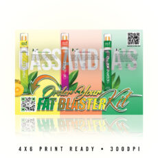 FAT BLASTER KIT 4X6 DESIGN