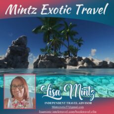 TRAVEL PROMO 1